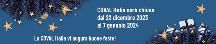 Buone Feste Buone Feste